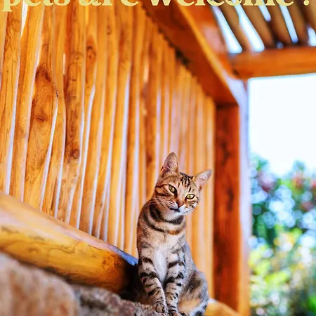 Mileo 5* 凯勒里瓦迪