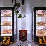 Mileo Mykonos Kalo Livadi