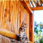 Mileo 5* Kaló Livádi